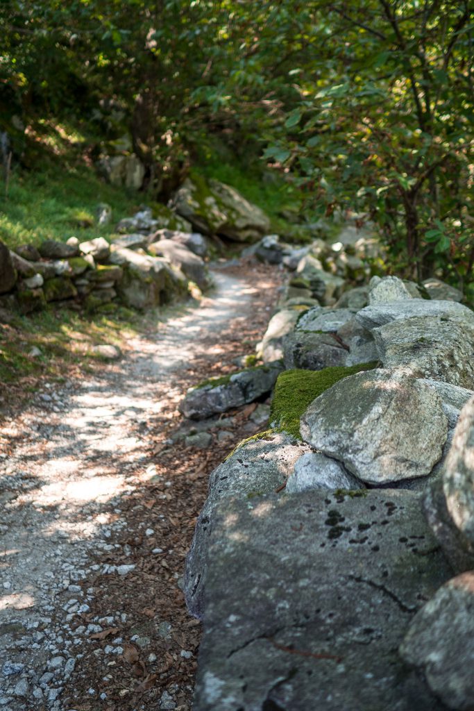 Buongiorno Ticino – unterwegs in der italienischen Schweiz