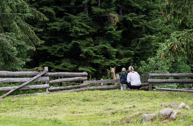Dolomiti Supersommer – Familienzeit zwischen Latemar und Rosengarten