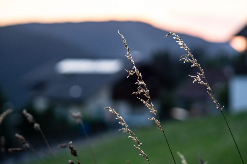 Dolomiti Supersommer – Familienzeit zwischen Latemar und Rosengarten