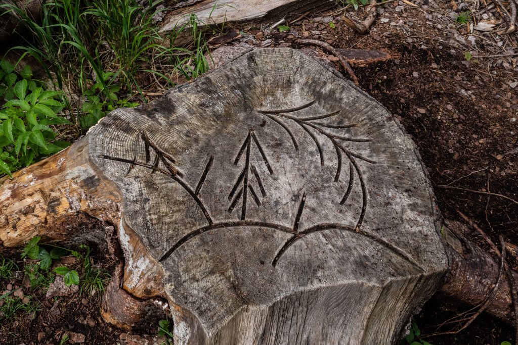 Dolomiti Supersommer – Familienzeit zwischen Latemar und Rosengarten