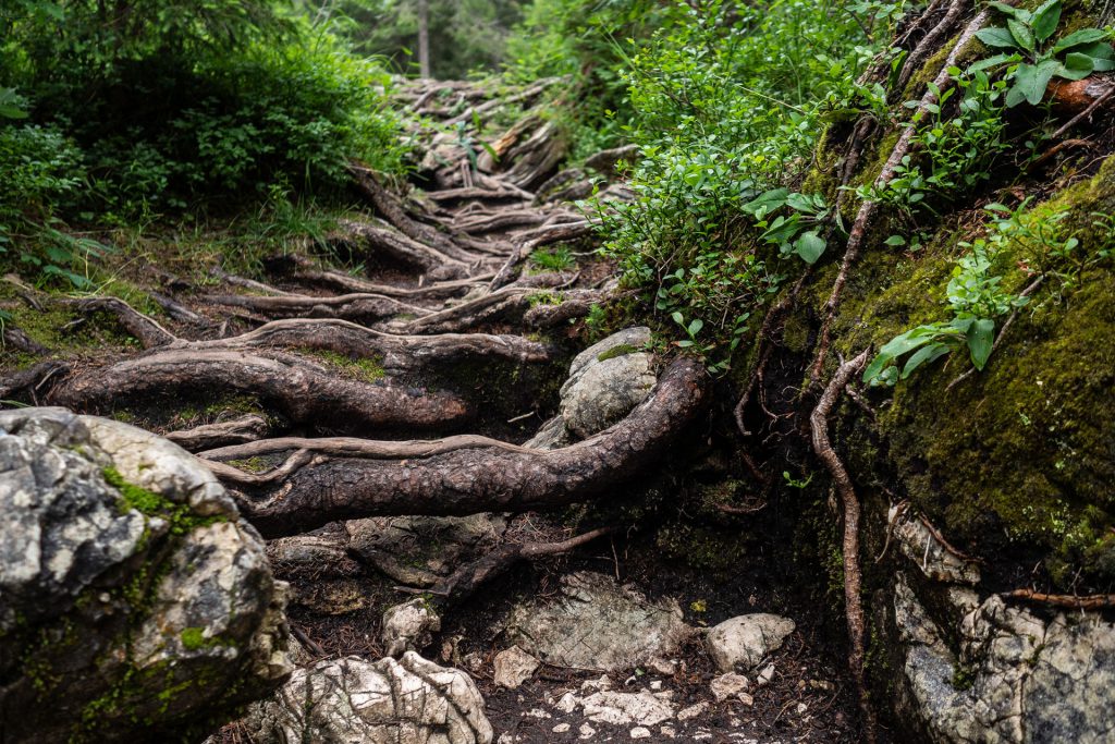 Dolomiti Supersommer – Familienzeit zwischen Latemar und Rosengarten
