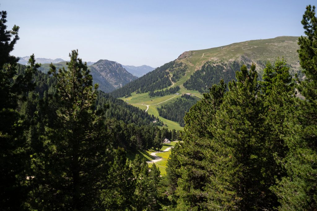Dolomiti Supersommer – Familienzeit zwischen Latemar und Rosengarten