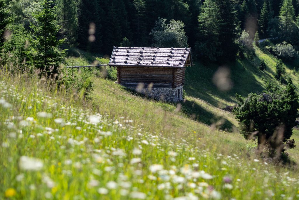 Dolomiti Supersommer – Familienzeit zwischen Latemar und Rosengarten