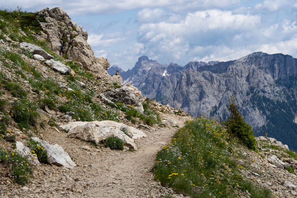 Dolomiti Supersommer – Familienzeit zwischen Latemar und Rosengarten