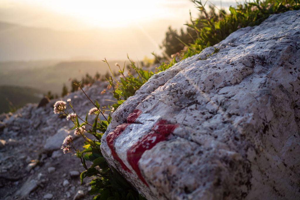 Dolomiti Supersommer – Familienzeit zwischen Latemar und Rosengarten