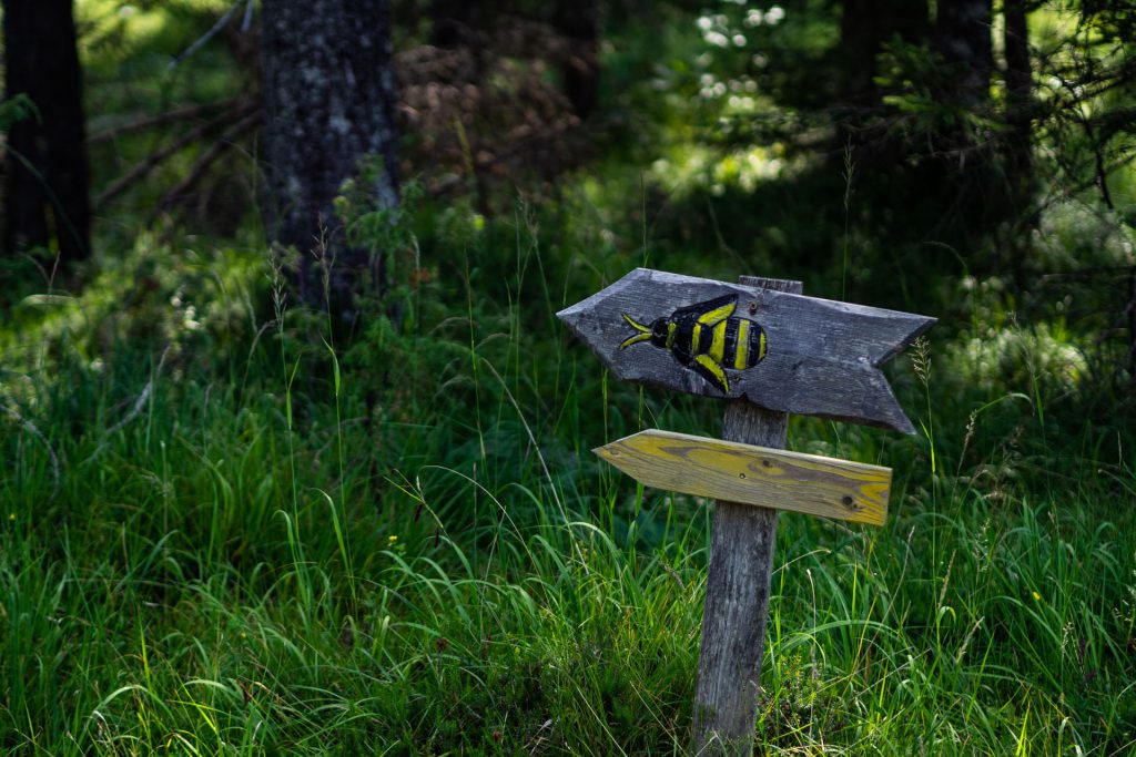 Nach Hause wollen wir immer noch nicht – PillerseeTal (Teil 2)