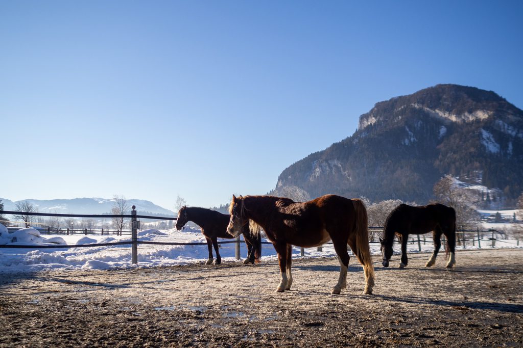 Auffi, Schifoan – Familienwinter in St. Johann