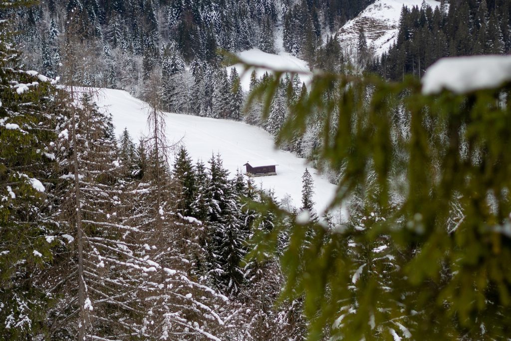 Auffi, Schifoan – Familienwinter in St. Johann