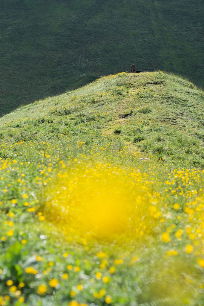 Der Alpenhof im Pustertal – Familienidyll mit Dolomitenblick