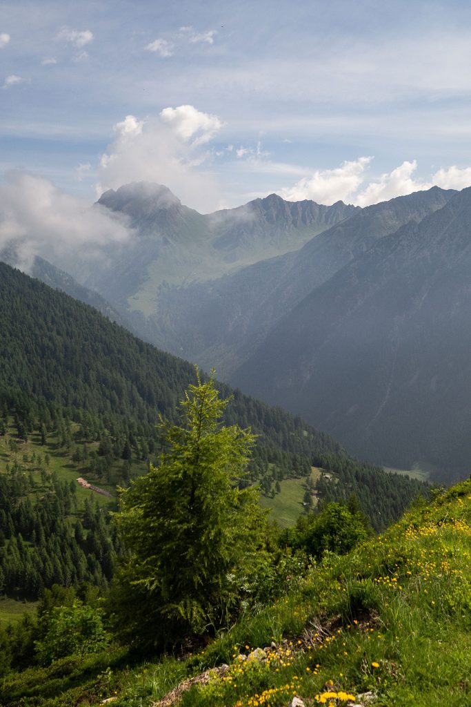 Der Alpenhof im Pustertal – Familienidyll mit Dolomitenblick