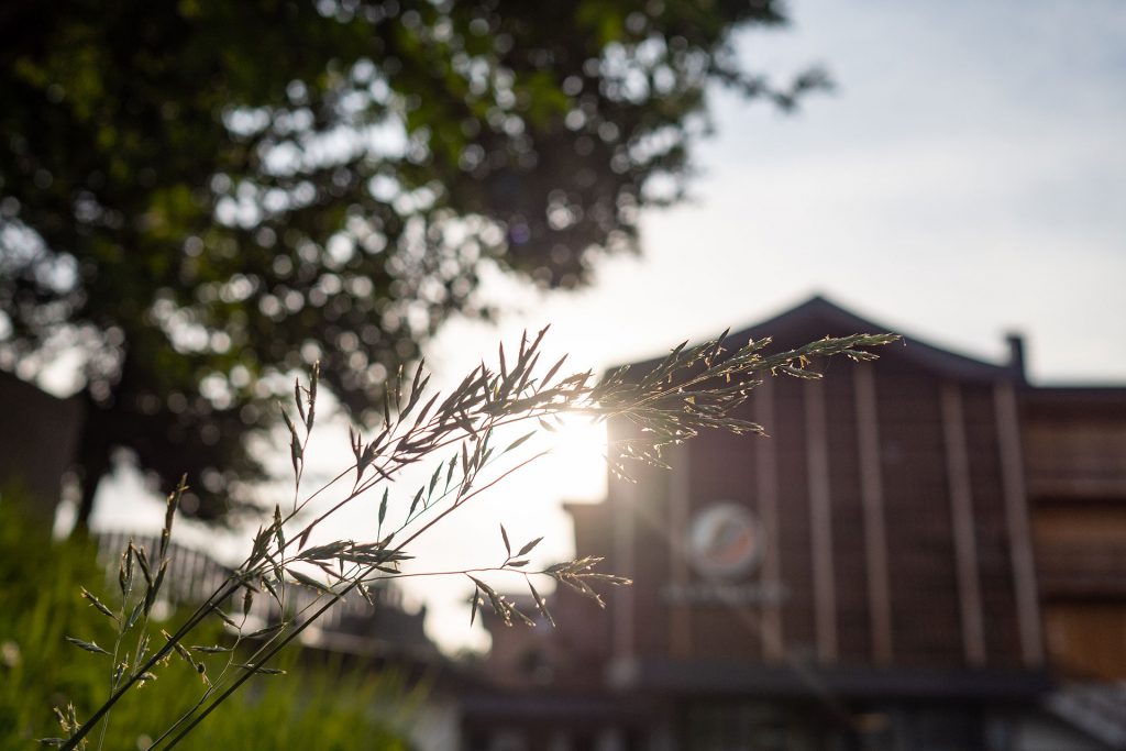 Der Alpenhof im Pustertal – Familienidyll mit Dolomitenblick