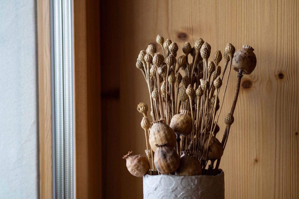 Der Alpenhof im Pustertal – Familienidyll mit Dolomitenblick