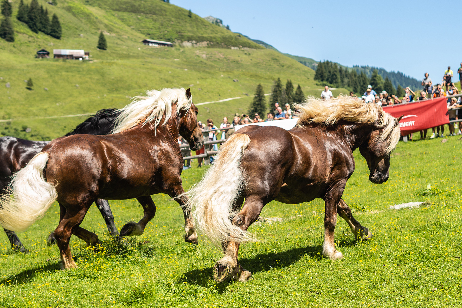 Das Brixental. So besonders!