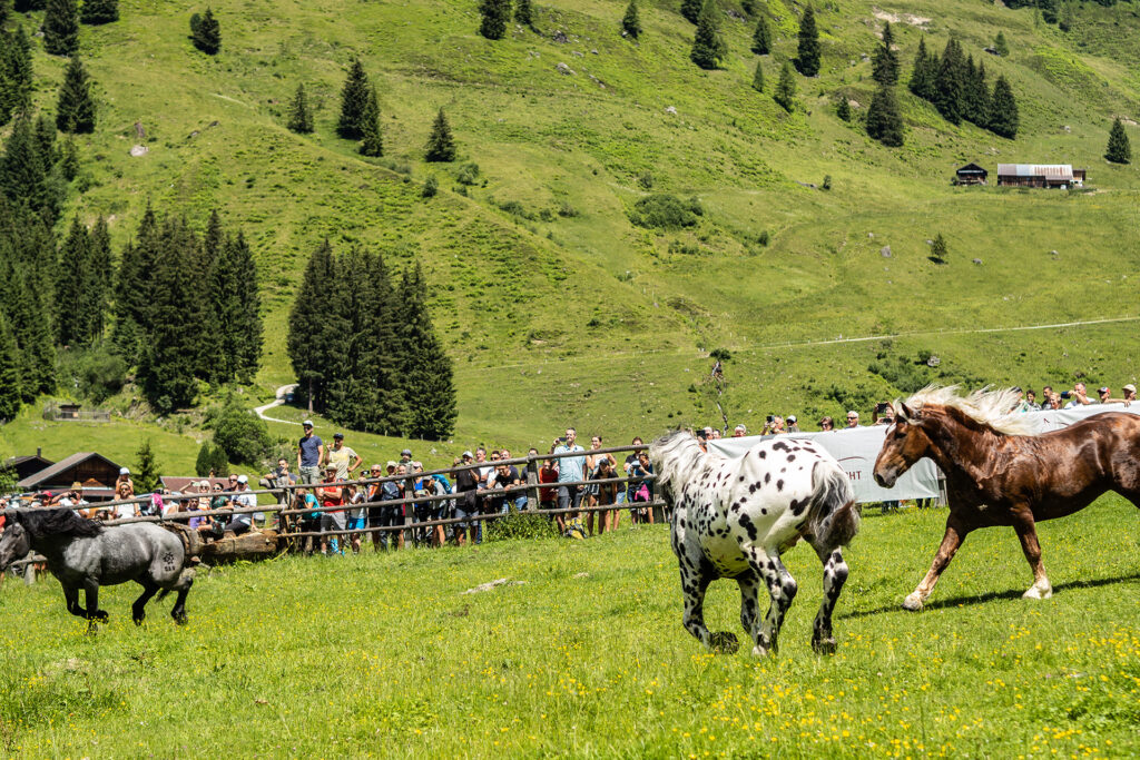 Das Brixental. So besonders!