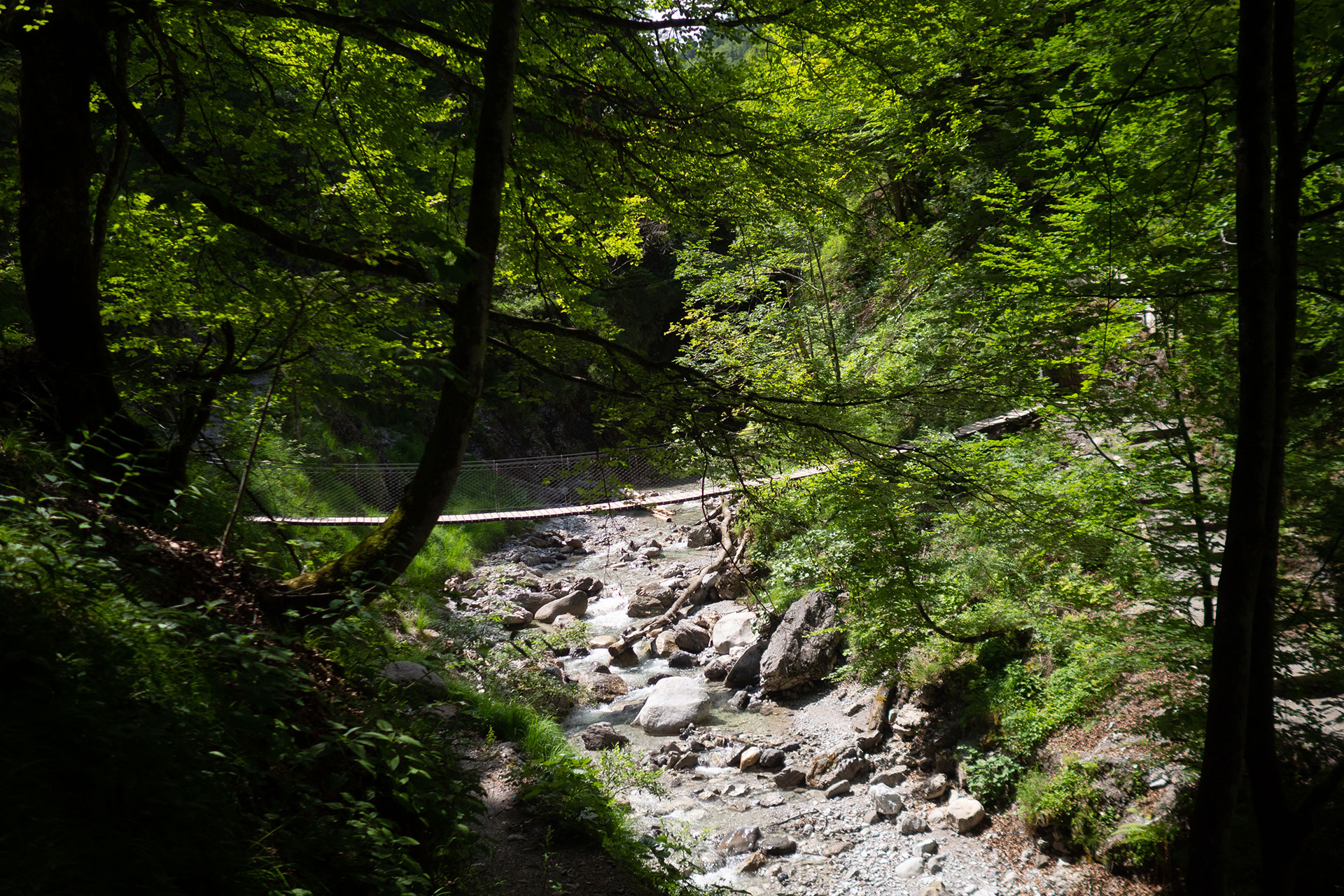 Zurück am Wilden Kaiser – Familiensommer in St. Johann