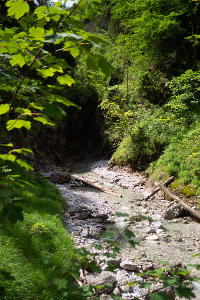 Zurück am Wilden Kaiser – Familiensommer in St. Johann