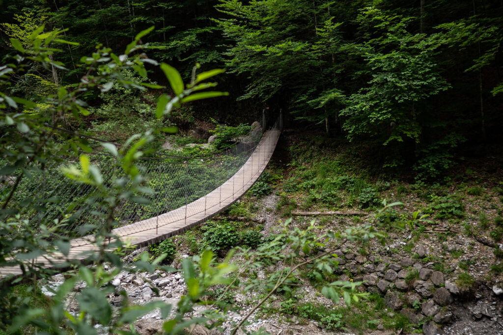 Zurück am Wilden Kaiser – Familiensommer in St. Johann