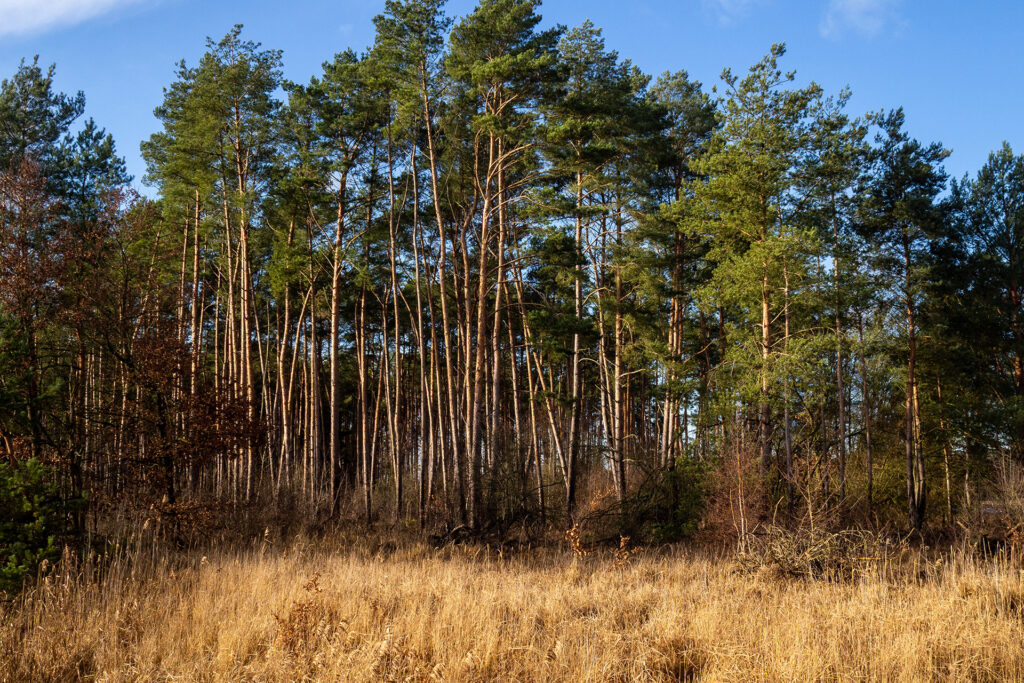 Middenmank. Ein Micro-Abenteuer in Mecklenburg