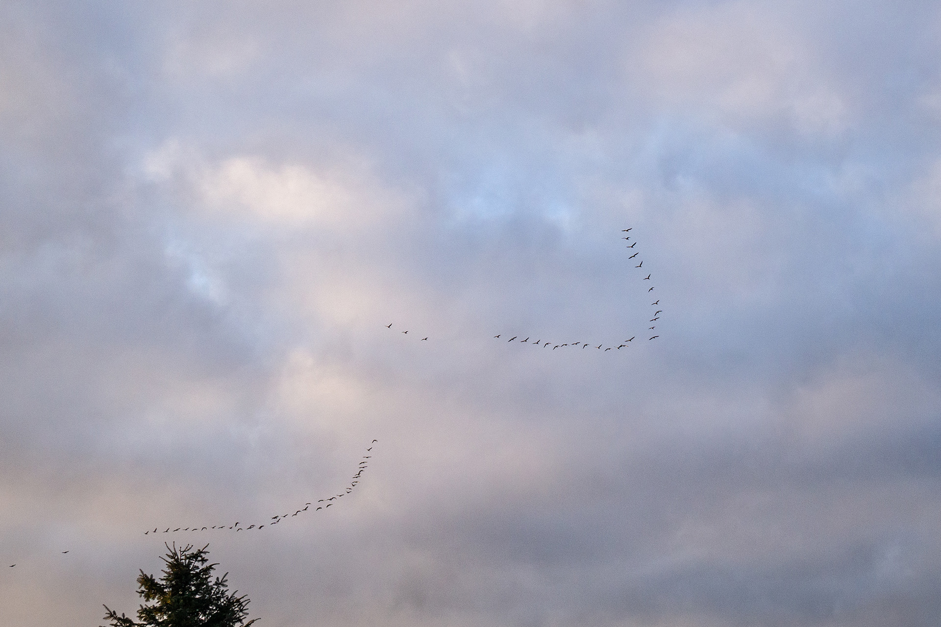Middenmank. Ein Micro-Abenteuer in Mecklenburg