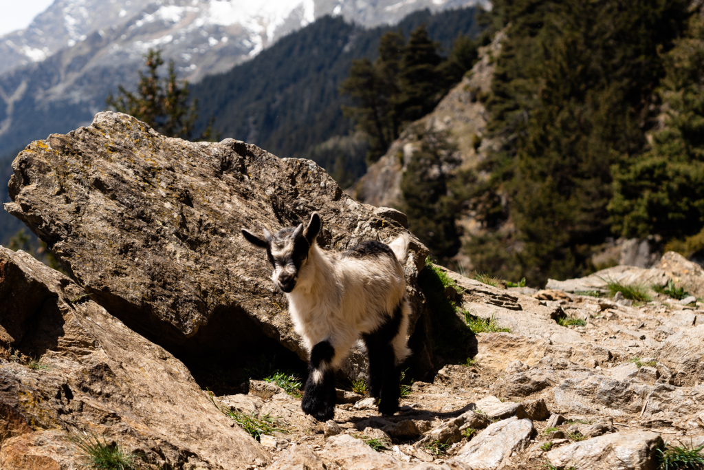 Gasthof zum Hirschen — zwischen den Welten