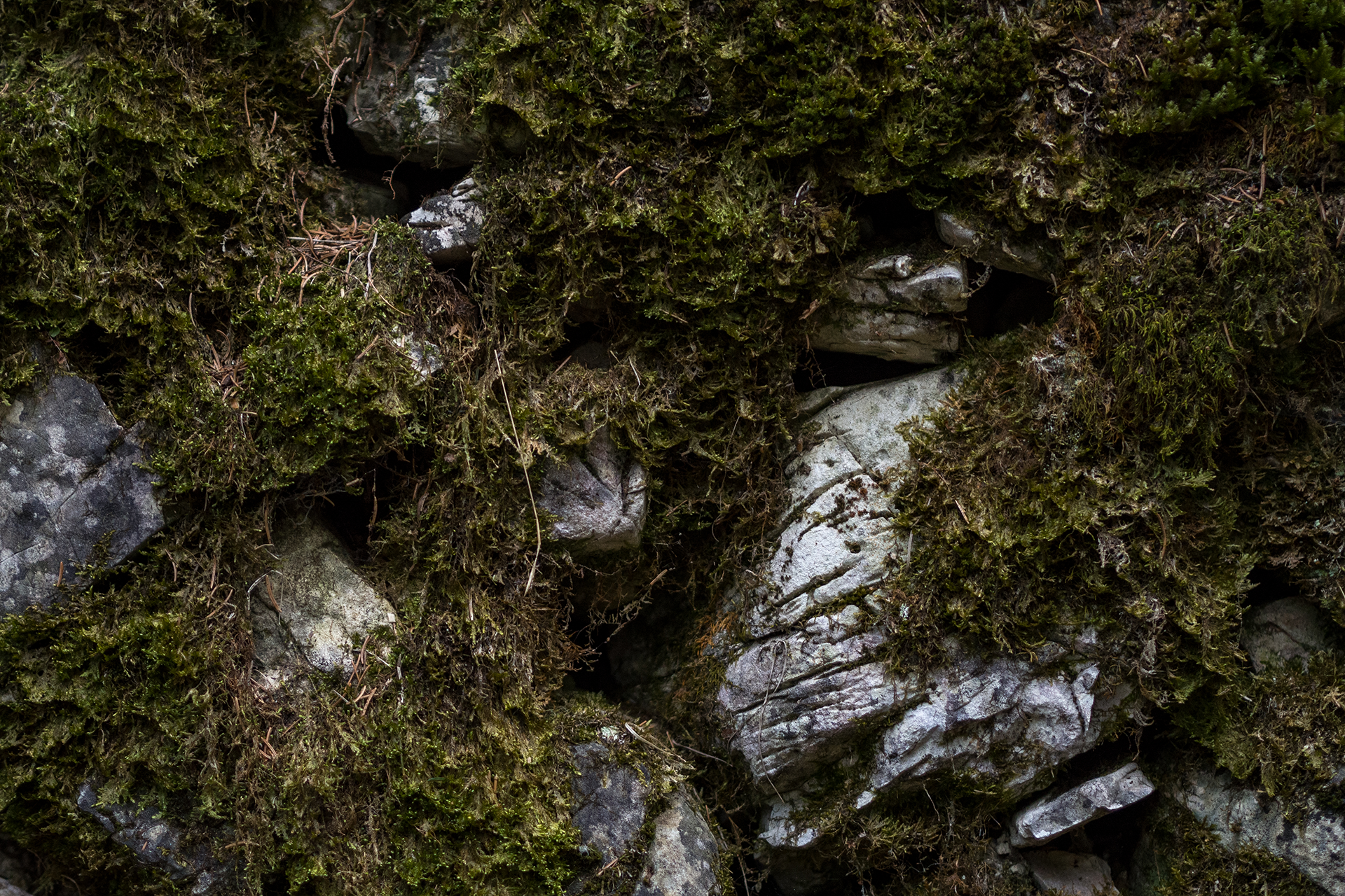 Gasthof zum Hirschen — zwischen den Welten