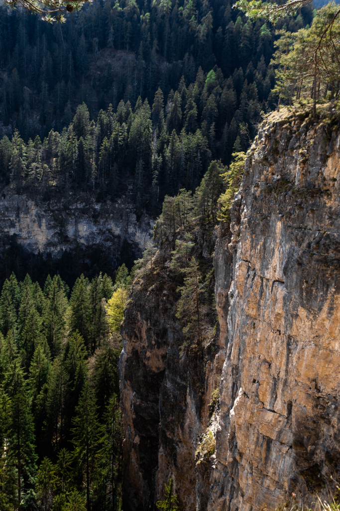 Gasthof zum Hirschen — zwischen den Welten