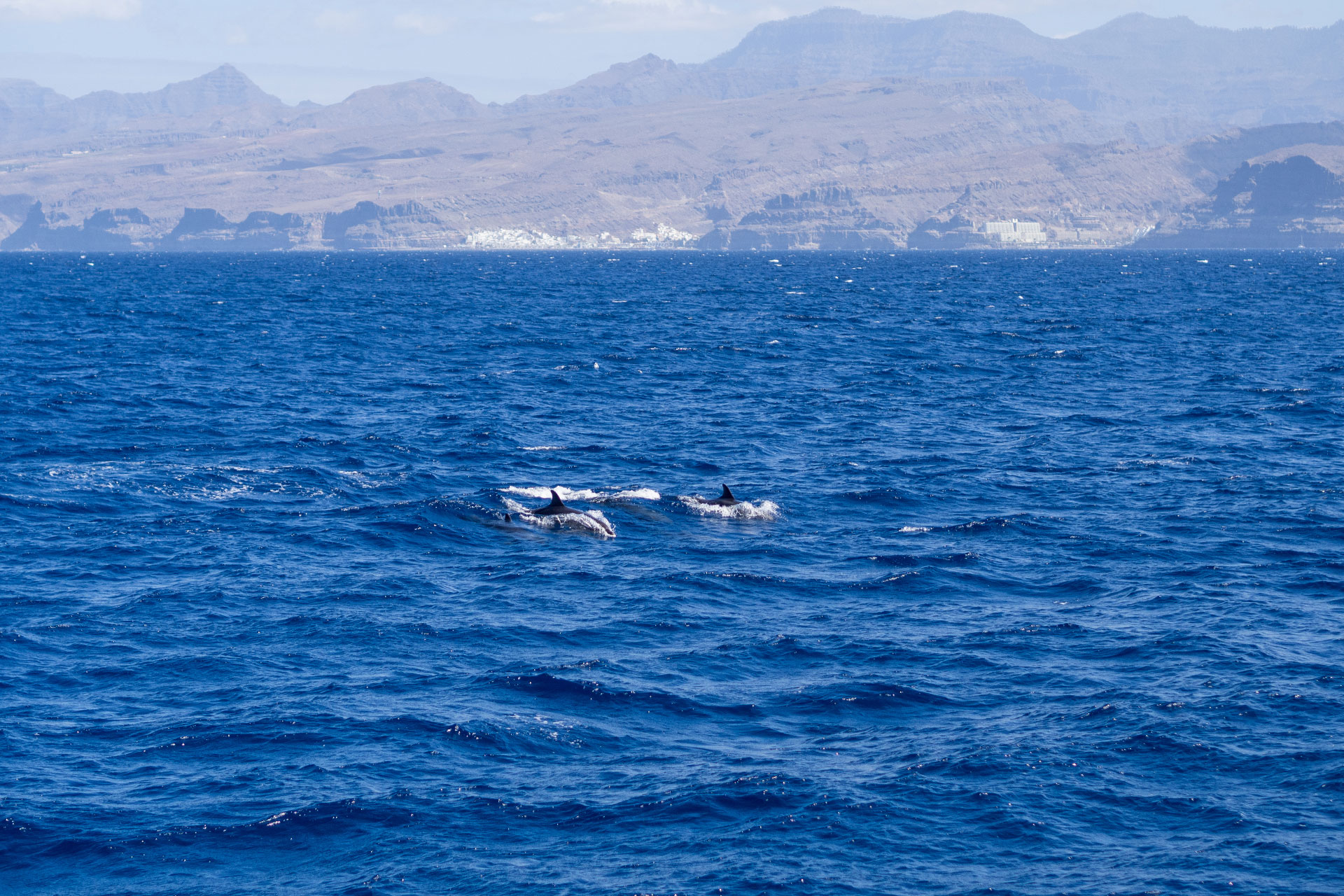 Blind Date mit Gran Canaria – unsere Insel Highlights