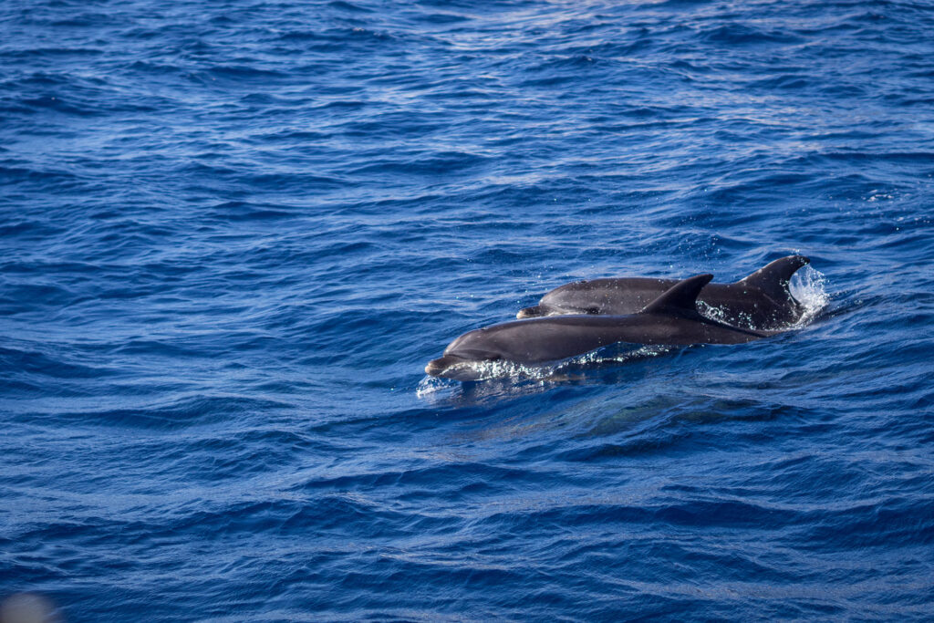 Blind Date mit Gran Canaria – unsere Insel Highlights