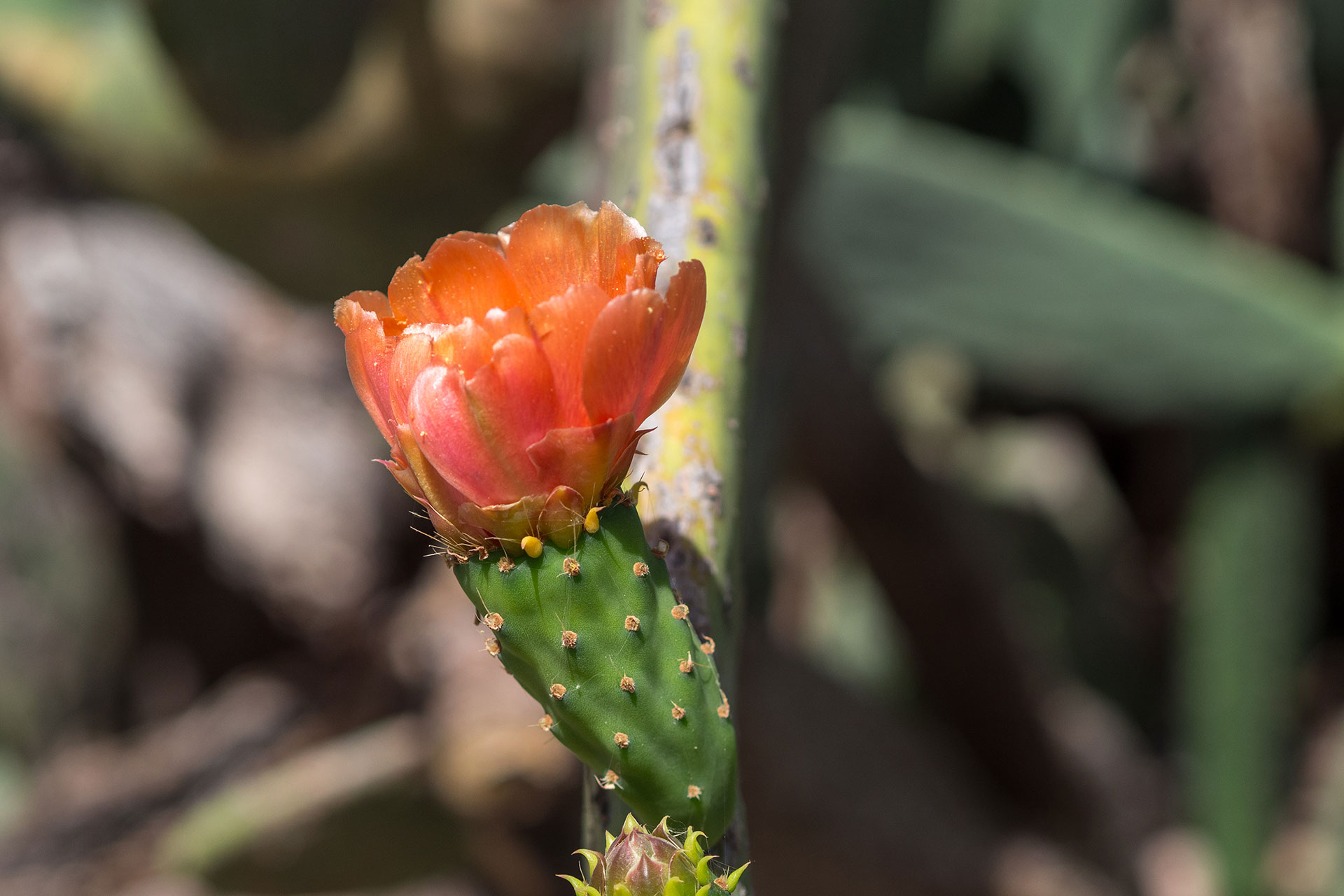 Blind Date mit Gran Canaria – unsere Insel Highlights