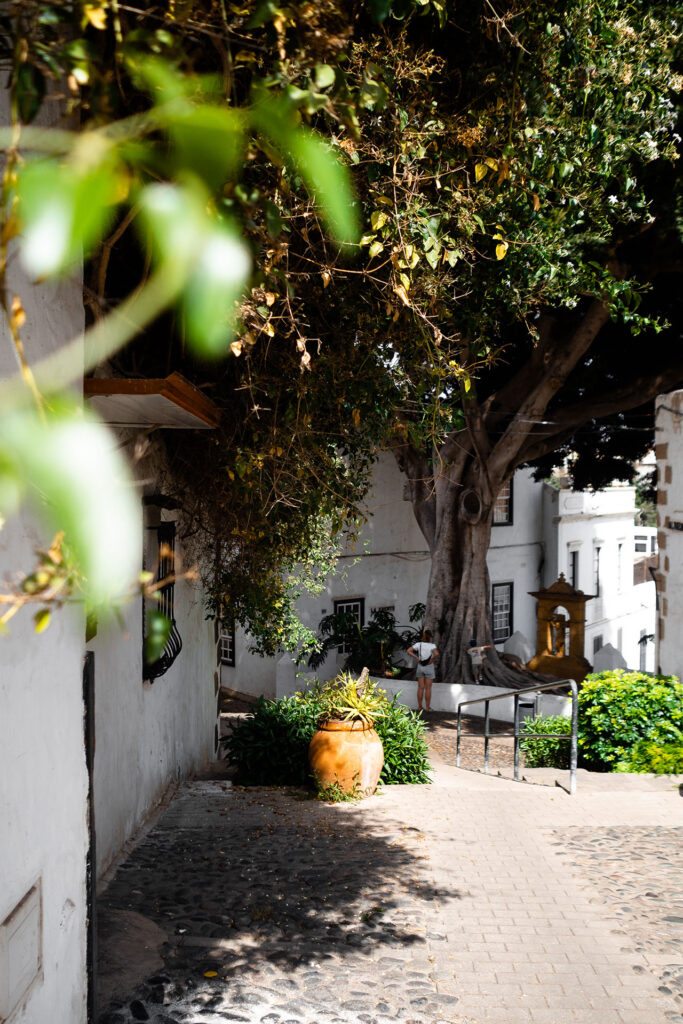 Blind Date mit Gran Canaria – unsere Insel Highlights