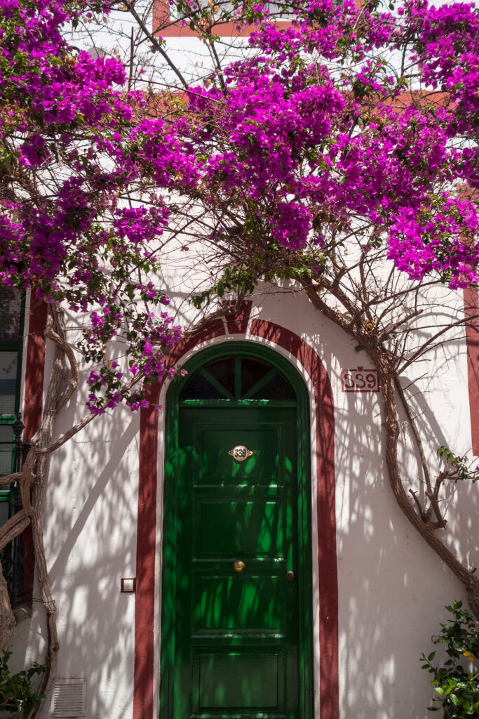 Blind Date mit Gran Canaria – unsere Insel Highlights