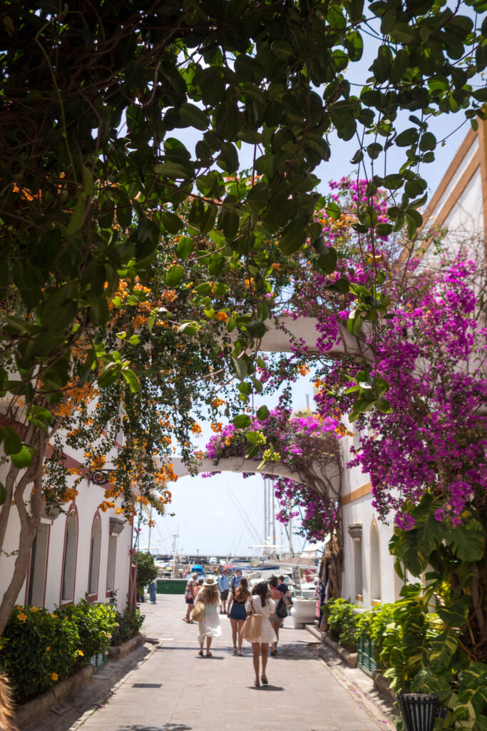 Blind Date mit Gran Canaria – unsere Insel Highlights