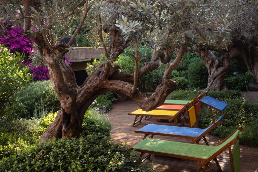 Life is better in Bikini