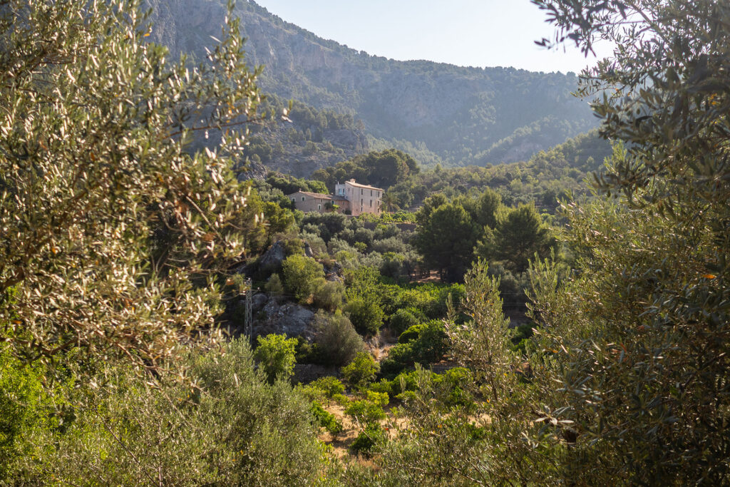 Life is better in Bikini