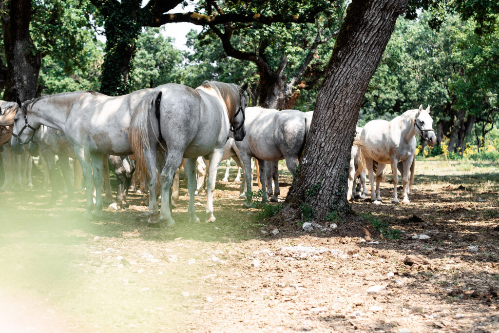 Einmal Adria und zurück – ein Roadtrip [Teil 2]