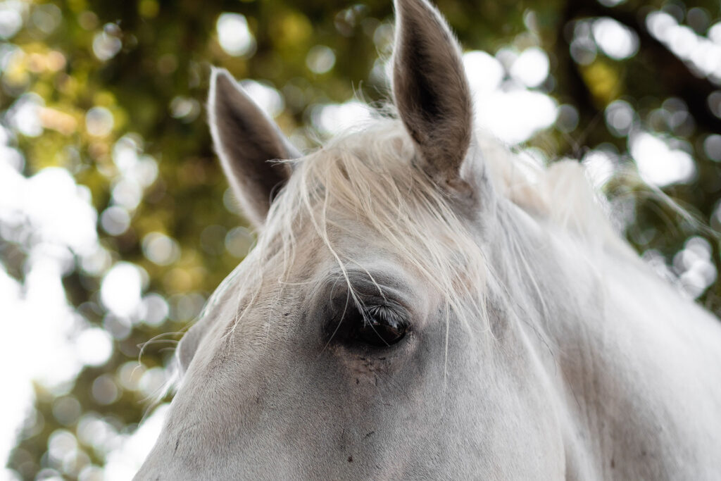 Einmal Adria und zurück – ein Roadtrip [Teil 2]