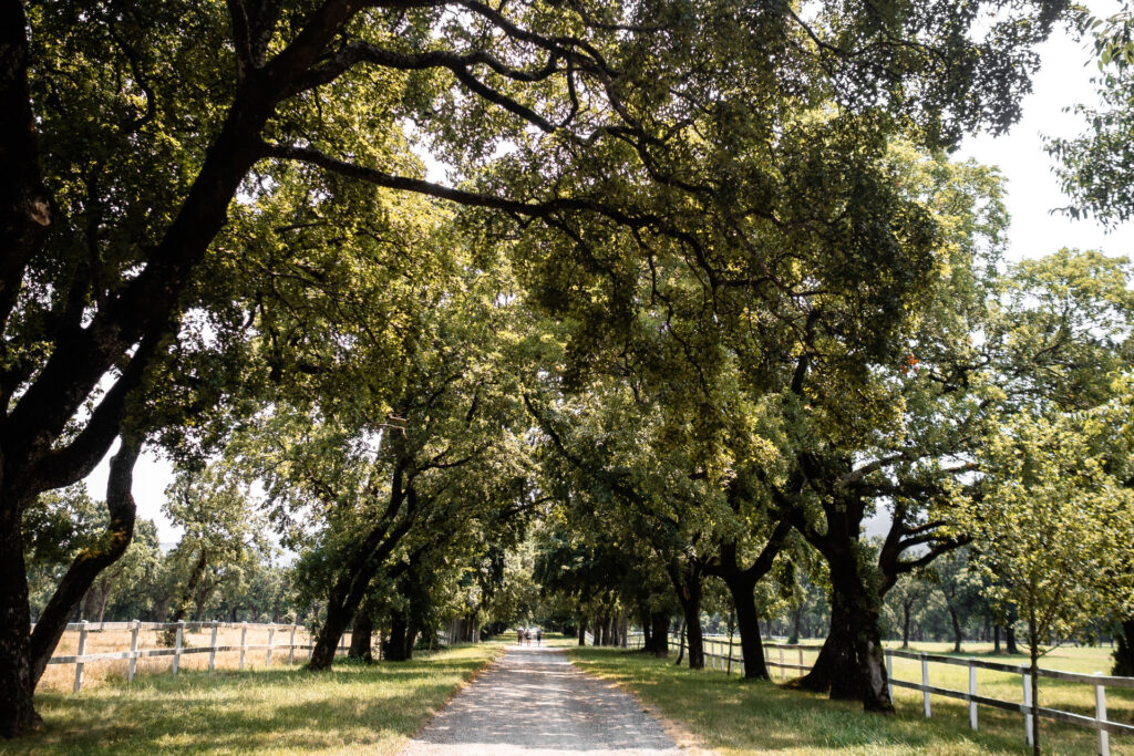 Einmal Adria und zurück – ein Roadtrip [Teil 2]