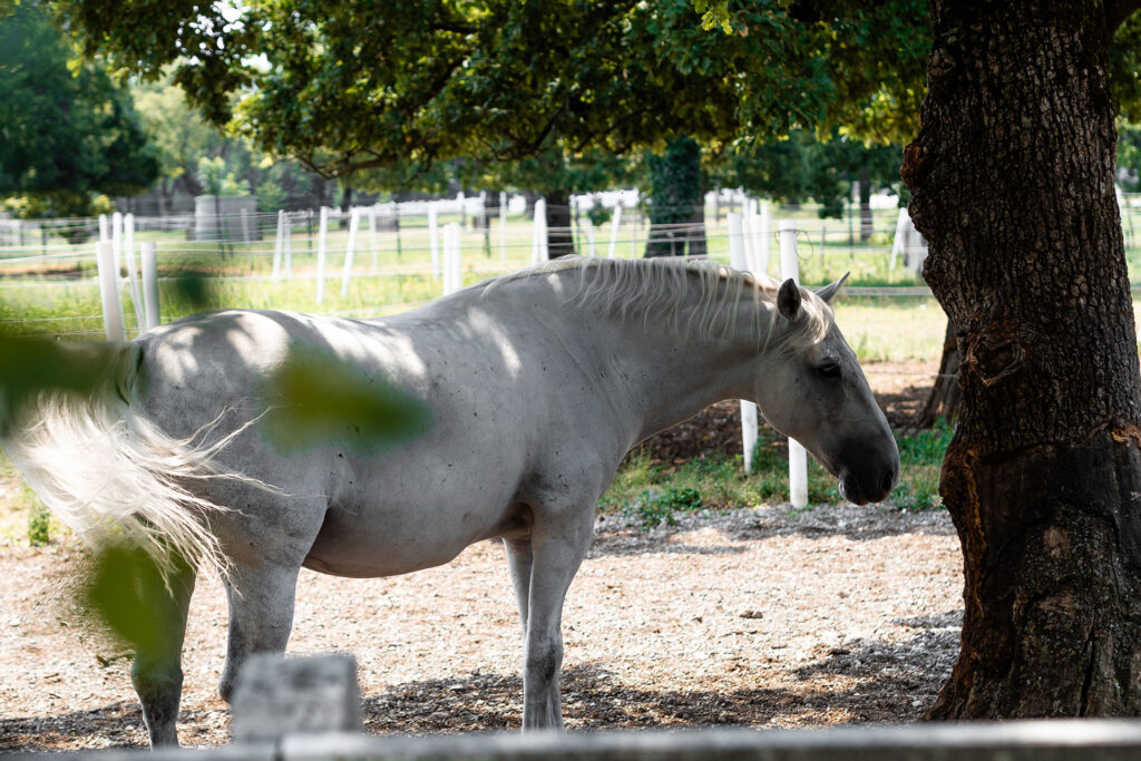 Einmal Adria und zurück – ein Roadtrip [Teil 2]