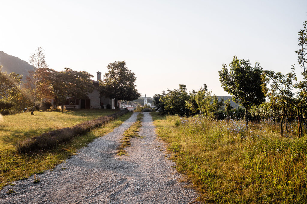 Einmal Adria und zurück – ein Roadtrip [Teil 2]
