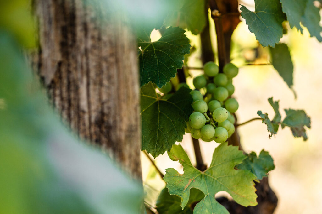 Einmal Adria und zurück – ein Roadtrip [Teil 2]