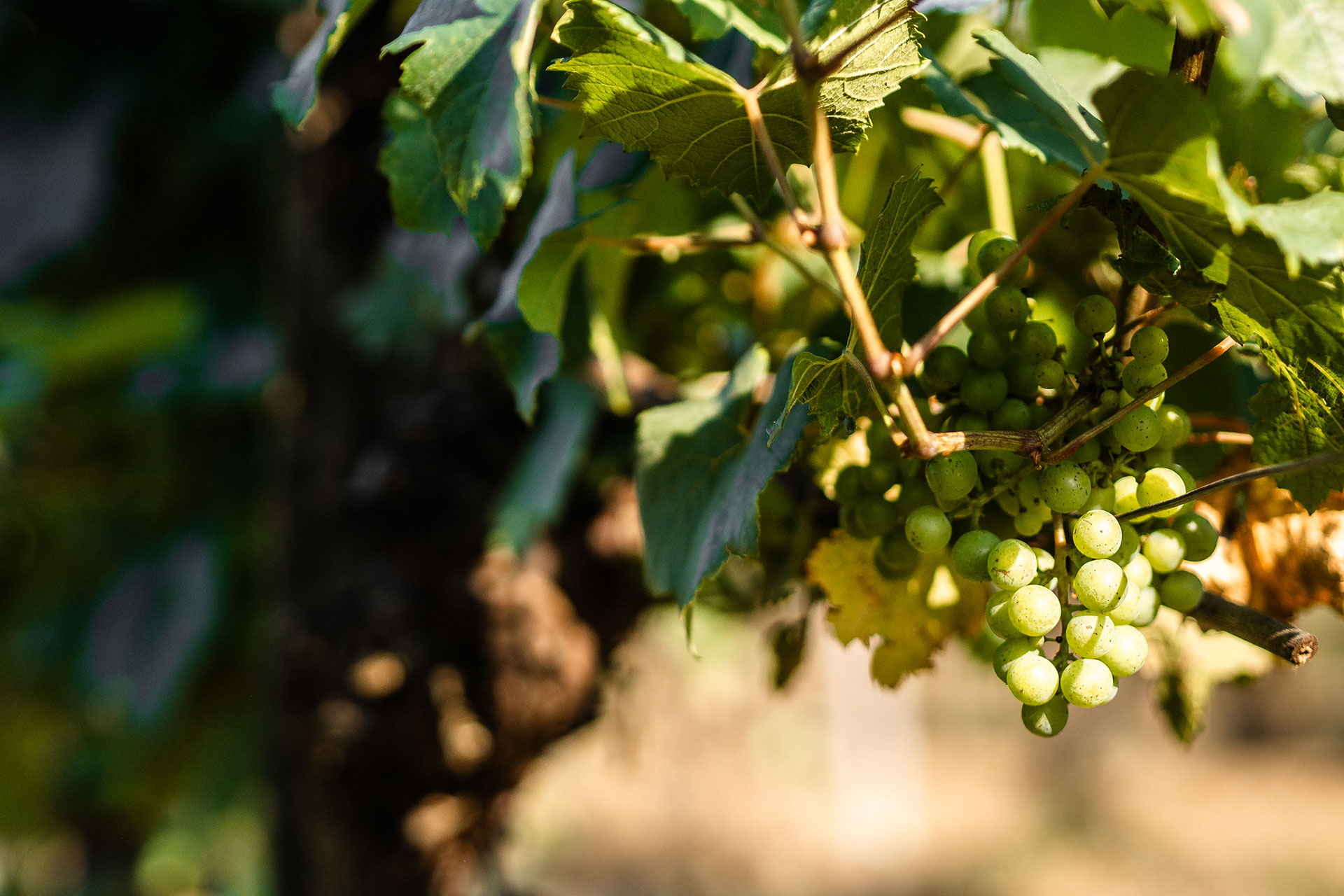 Einmal Adria und zurück – ein Roadtrip [Teil 2]