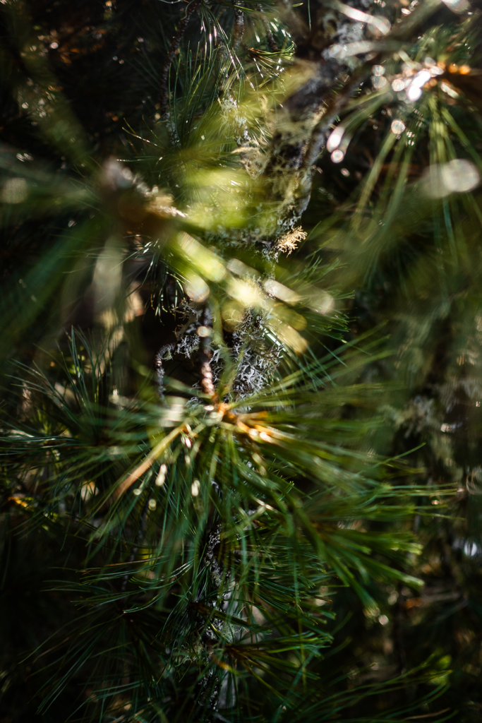 Berge, Biken… und ein Butler