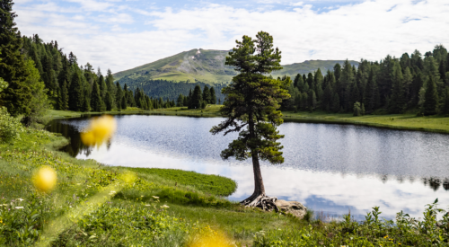 Berge, Biken… und ein Butler