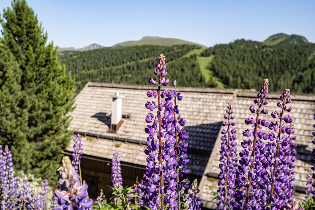 Berge, Biken… und ein Butler