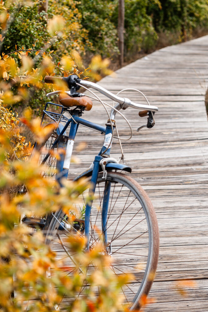 Ein Ort zum Fühlen – das Craveiral Farmhouse