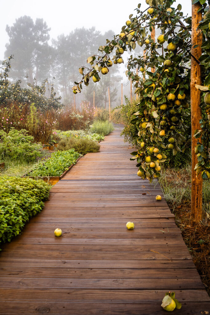 Ein Ort zum Fühlen – das Craveiral Farmhouse