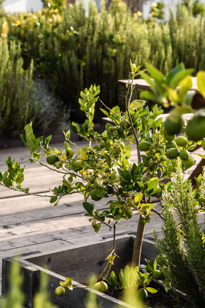 Ein Ort zum Fühlen – das Craveiral Farmhouse