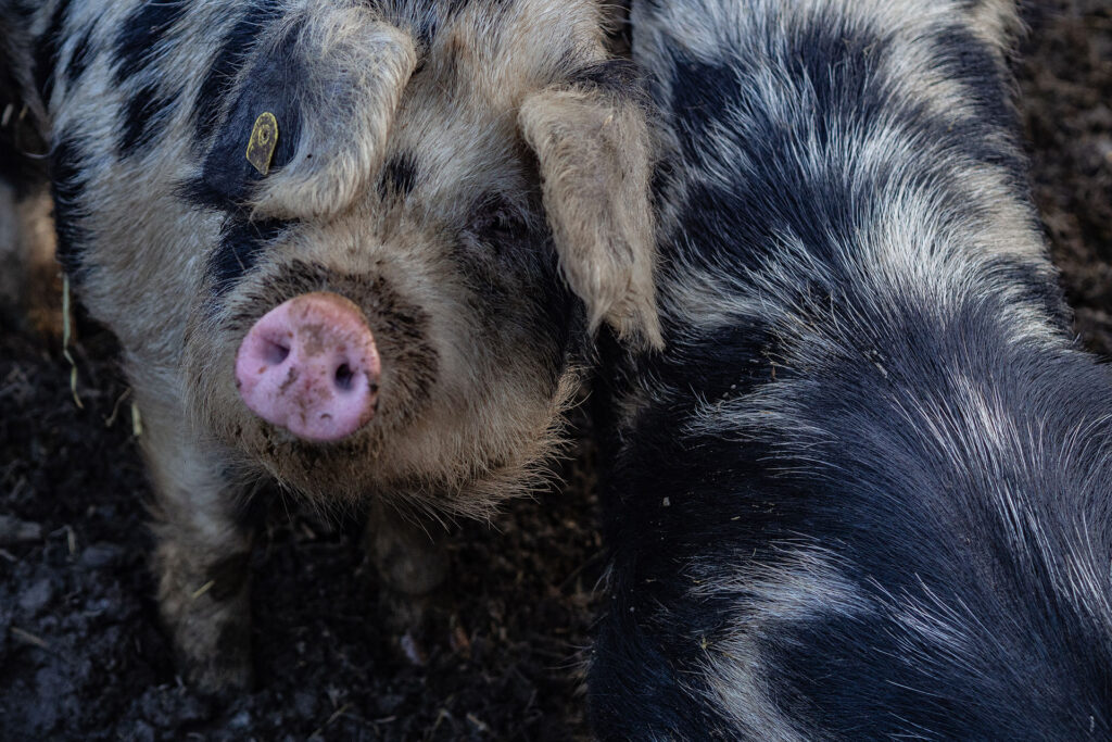 It’s slowtime – Auszeit in Graubünden