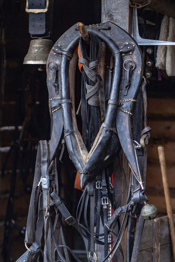 It’s slowtime – Auszeit in Graubünden