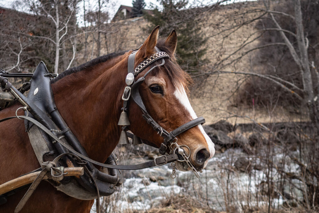 It’s slowtime – Auszeit in Graubünden